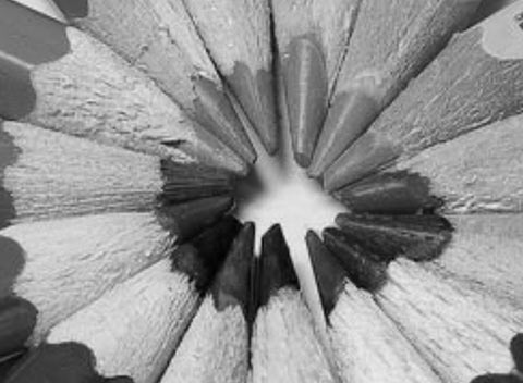 企业管理革新的在线轰炸电话网页版免费测试