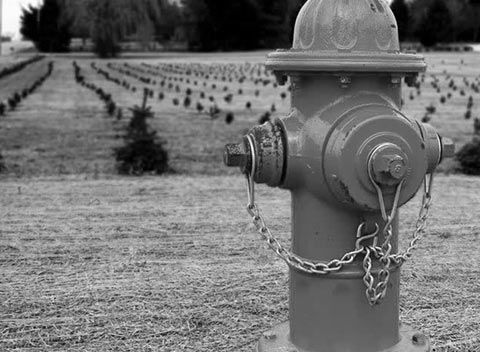 手机号轰炸平台